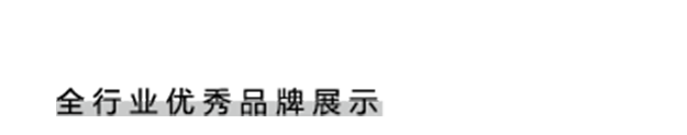 石邦主品牌网LOGO